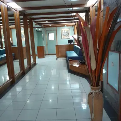 a lobby with a vase with plants in it at Spacious bright apartment with garage in Cordoba in Cordoba