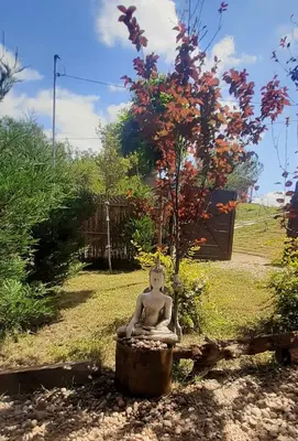 a statue of a person sitting in a garden at Piedramadre hermosa cabaña a metros del río hasta 4 huéspedes in Cordoba