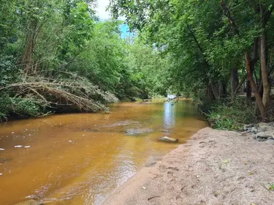 a river with brown water and trees on the side at Cabañas los Nonitos in Villa Los Aromos
