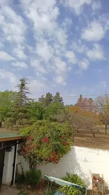a building with a tree with red flowers on it at departamento en zona residencial in Cordoba