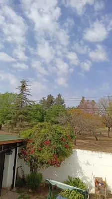 a tree with red flowers on it next to a building at departamento en zona residencial in Cordoba