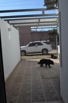 a black cat walking through a parking lot at Complejo Fatima in Villa Dolores
