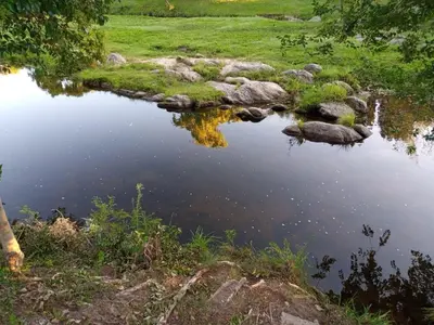 a pond of water with rocks and grass in a field at Amables 2 in Salsacate