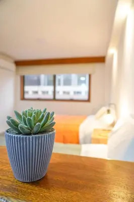 a potted plant sitting on a table in a bedroom at Departamento 114 - Edificio VILAUT by INMOVE Temporarios in Cordoba