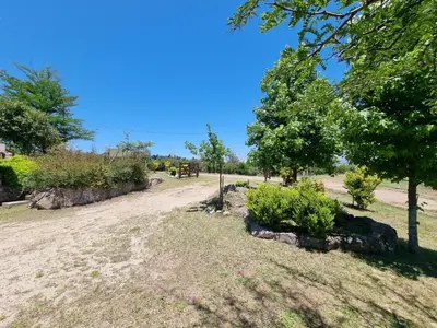 a dirt road with trees and bushes in a field at Complejo Terrazas al Champaqui in Villa Yacanto