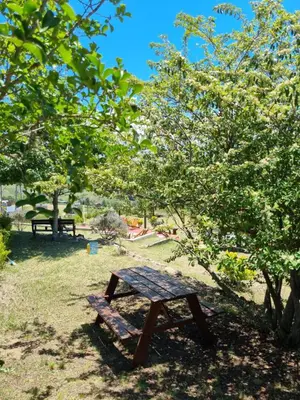 a wooden bench sitting in the grass under trees at Complejo Terrazas al Champaqui in Villa Yacanto