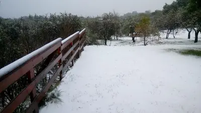 a wooden bridge covered in snow next to trees at Corazon de Montaña in Merlo