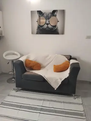 a couch with a picture of a cat wearing sunglasses at Temporario Alberdi in Cordoba