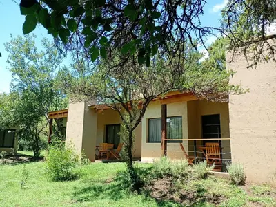 a house with chairs and a tree in front of it at Las Moras in Santa Rosa de Calamuchita