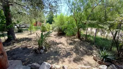 a garden with trees and plants in a yard at Al Pie Del Cerro Champaqui in Los Hornillos