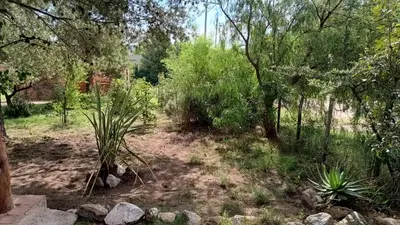 a garden with some plants and trees and rocks at Al Pie Del Cerro Champaqui in Los Hornillos