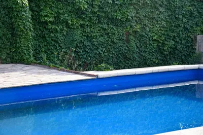 a swimming pool next to a green hedge at Altos de Brochero Cabañas & Padel in Villa Cura Brochero