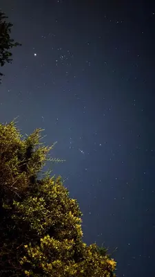 a starry night with a tree in the foreground at Mística in Alta Gracia
