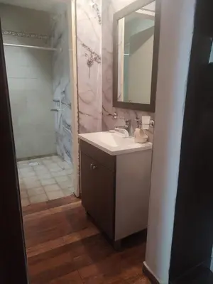 a bathroom with a sink and a shower at Mi casita de la suerte in Villa Cura Brochero