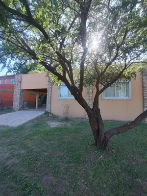 a tree in the grass in front of a building at Cabañas Juan in Arroyo de Los Patos
