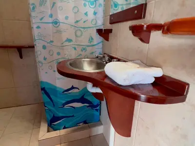 a bathroom with a sink with a towel on it at Las Magnolias - Casas de Campo in Mina Clavero