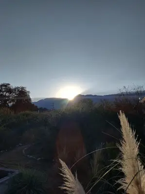 a sunset over a field with tall grass at La Singladura in La Población