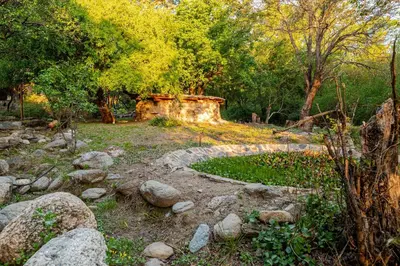 a garden with rocks and trees in the background at Habitaciones individuales en La Llave in San Javier