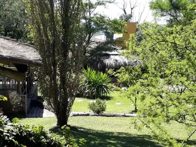 a tree in the middle of a yard at CABAÑA Aguadita Tanti in Tanti