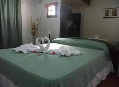 two white swans are sitting on a green bed at Complejo Luluara in Villa Carlos Paz