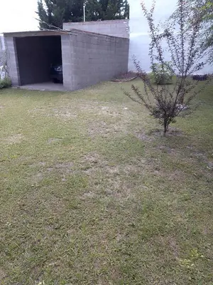 a small tree in a yard next to a garage at Casa de campo in Bialet Massé