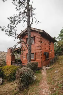 a wooden house on a hill with a tree at Cabañas del Peñón in La Cumbrecita