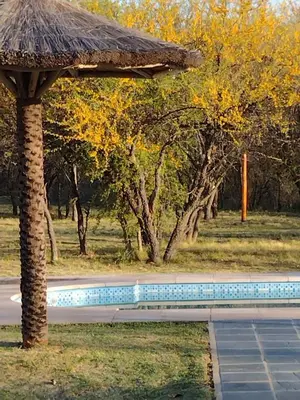 a swimming pool with a straw umbrella and trees at chalet la granadilla in Cerro de Oro