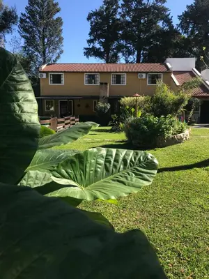 a large green plant in front of a house at cabañas el viejo ciprés 1 in Santa Rosa de Calamuchita