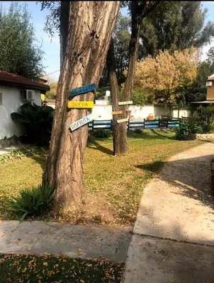 a tree with a sign on it next to a sidewalk at cabañas el viejo ciprés 3 in Santa Rosa de Calamuchita