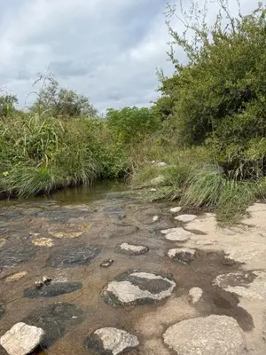 a stream with rocks in the sand and bushes at El Alto in Yacanto