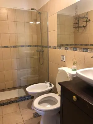 a bathroom with a toilet and a shower and a sink at Apartamento al 5' del Centro in Cordoba