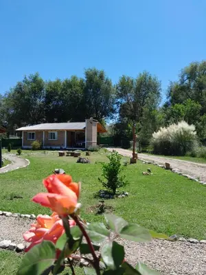 a house in the background with a flower in the foreground at Cabañas El Cardón in Santa Rosa de Calamuchita