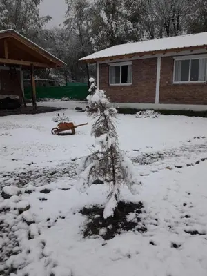 a snow covered yard in front of a house at Cabañas El Cardón in Santa Rosa de Calamuchita