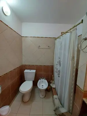 a bathroom with a toilet and a sink and a shower at Hermosa casa con pileta en estancia vieja carlos paz in Estancia Vieja