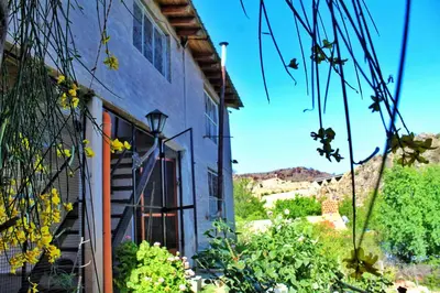 an exterior view of a house with plants and stairs at Complejo Salamanca - Cabaña La Catalana in Trapiche