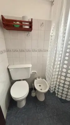 a bathroom with a toilet and a shower curtain at 760 D Apartamentos in Alta Gracia
