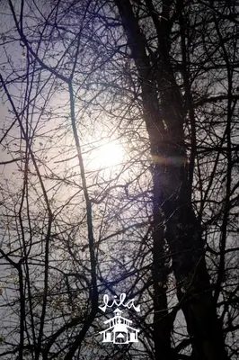 a reflection of a tree and the sun in the water at Lila Cumbrecita in La Cumbrecita