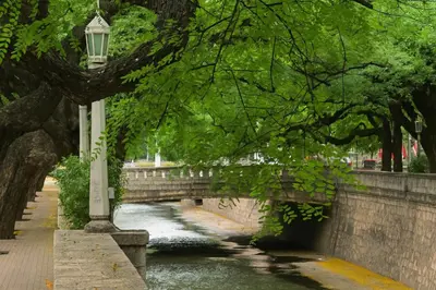 a street light next to a river with a bridge at Atenea Residence in Cordoba