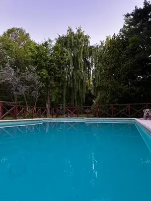 a large blue swimming pool with trees in the background at Cabañas Los Hornillos de Juli y Marce in Los Hornillos