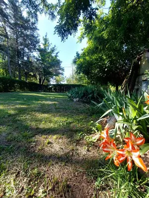Gallery image of Casita Mia in Los Reartes