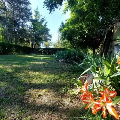 Casita Mia