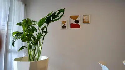 a plant in a white vase in a room at Agradable departamento en Alta Córdoba in Cordoba