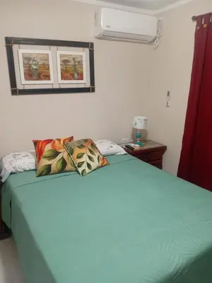 a bedroom with a bed with a green comforter at Departamento calido, cerc in Río Tercero