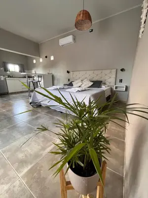 a bedroom with a bed and a potted plant at SuiteMilSueños in Mina Clavero