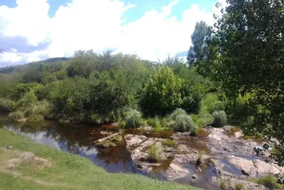 a stream of water with trees and rocks at Casa Con Pileta Exclusiva a 50 mtrs Rio in Villa Carlos Paz