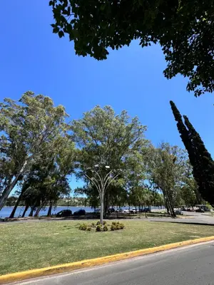 a park with a tree in the middle of a field at Carlos paz resort premium in Villa Carlos Paz