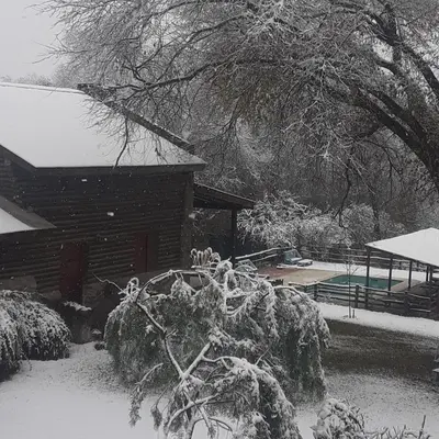a snow covered yard with a house and a tree at Refugio de las Sierras in Villa General Belgrano