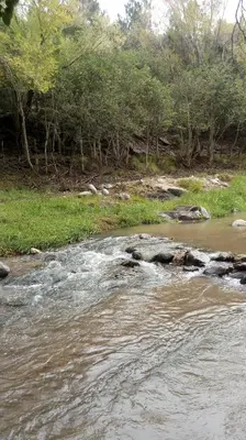 a stream of water with trees in the background at Refugio de las Sierras in Villa General Belgrano