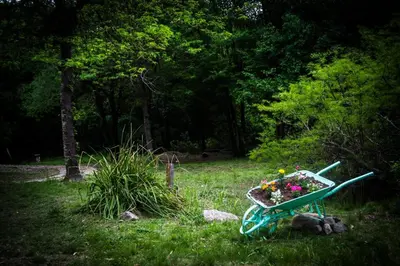 a garden table with flowers in it in the grass at Refugio de las Sierras in Villa General Belgrano
