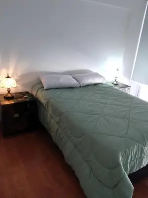 a bed with a green comforter and two night stands at Departamento con FERNET in Cordoba
